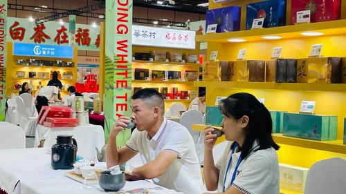 34家福鼎白茶展團亮相景德鎮